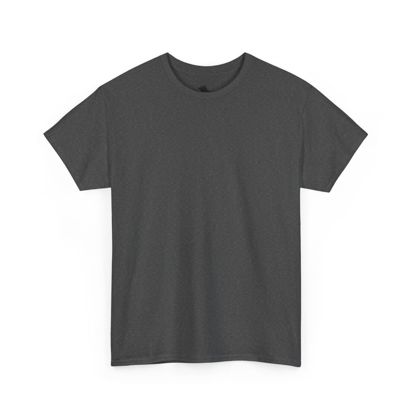 Blank Tee