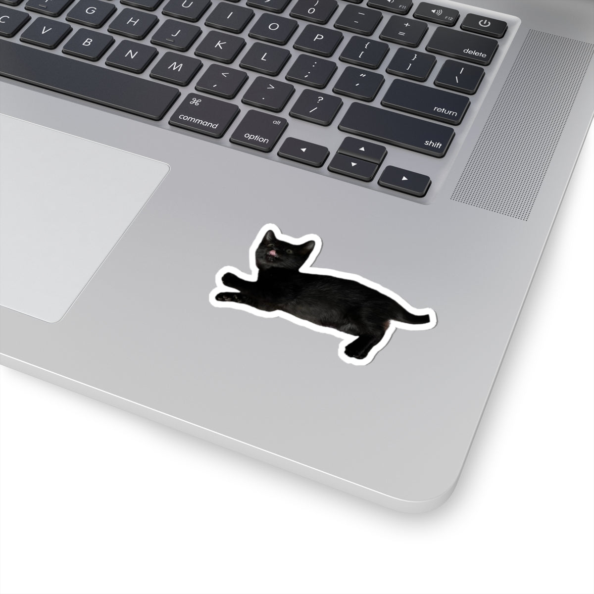 Baby Pistachio Sticker