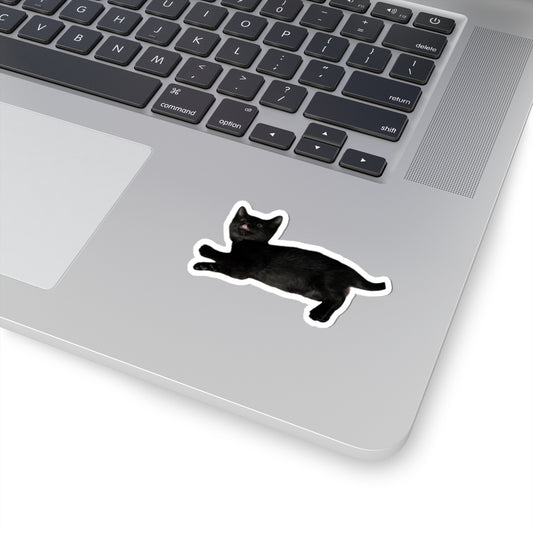 Baby Pistachio Sticker