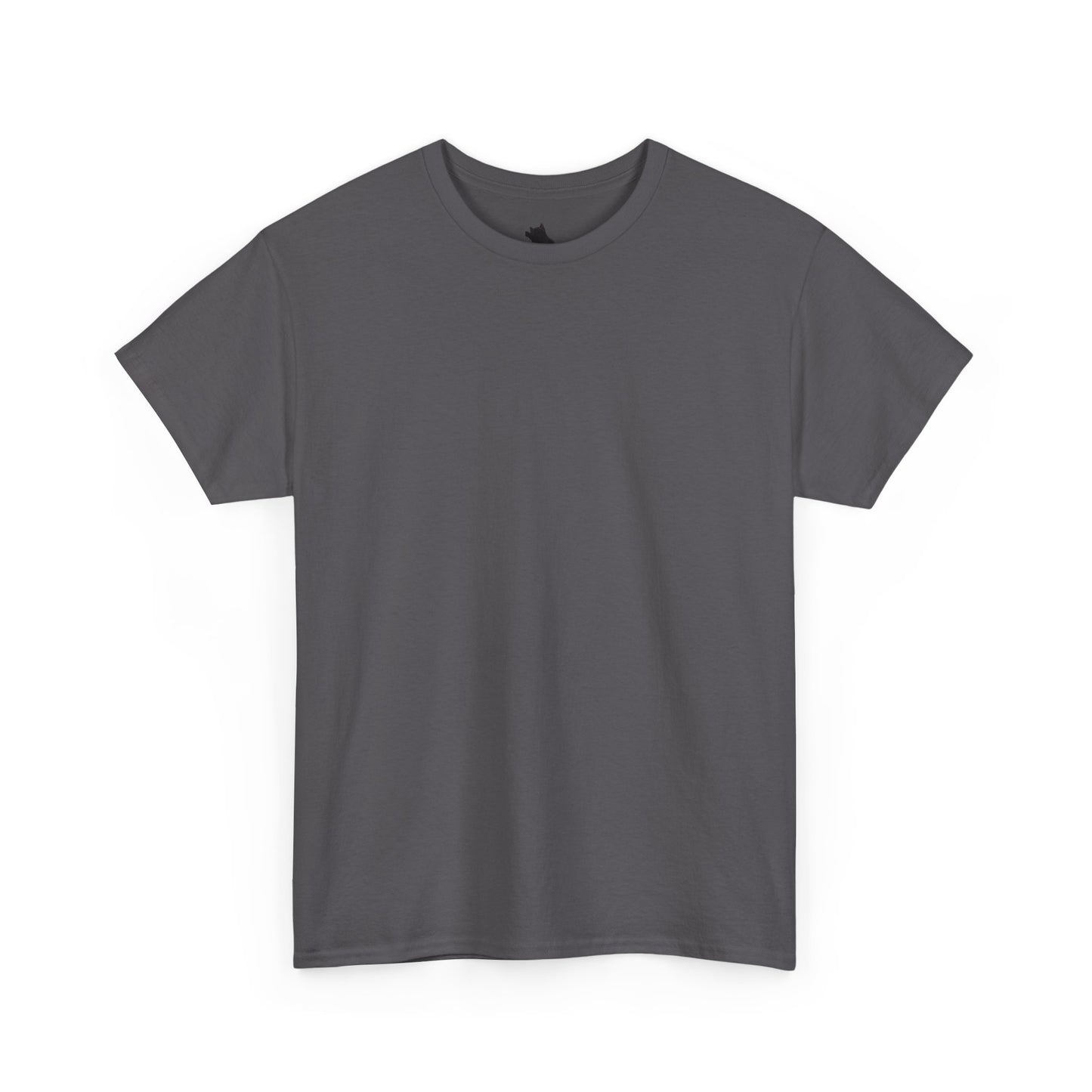 Blank Tee